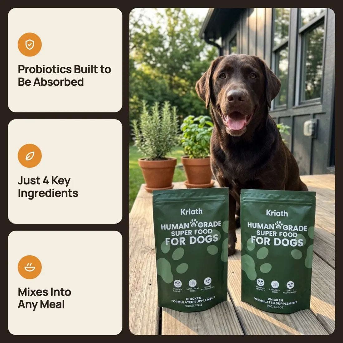 A happy chocolate Labrador on a sunny deck behind two Kriath Paws pouches: probiotics built to be absorbed, just 4 key ingredients, mixes into any meal