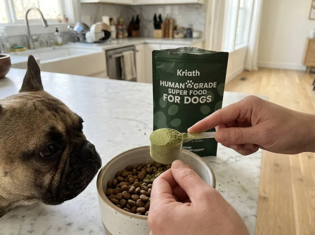 A scoop of Kriath powder going onto a bowl of kibble